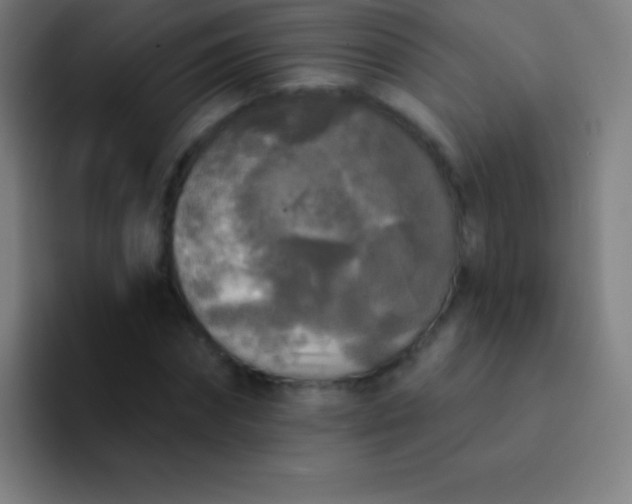 X0000094350874200711162028