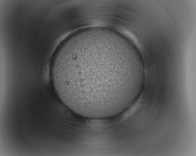 X0000094350875200711162028