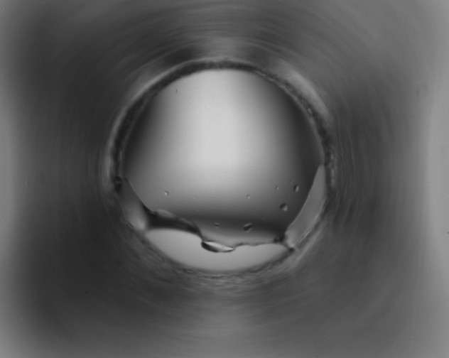 X0000094350876200711162028