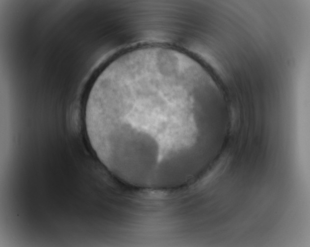 X0000094350878200711162028