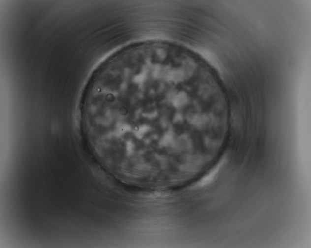 X0000094350879200711162028