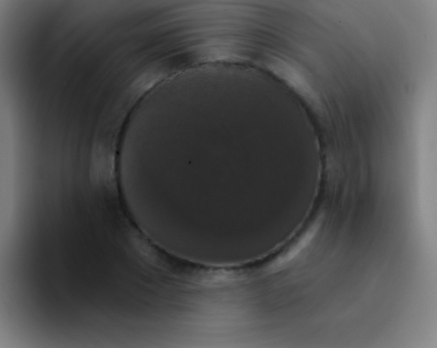 X0000094350881200711162028