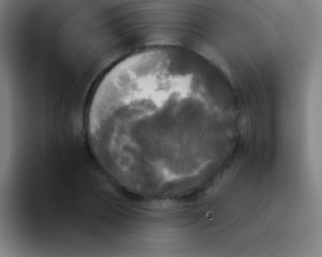 X0000094350882200711162028