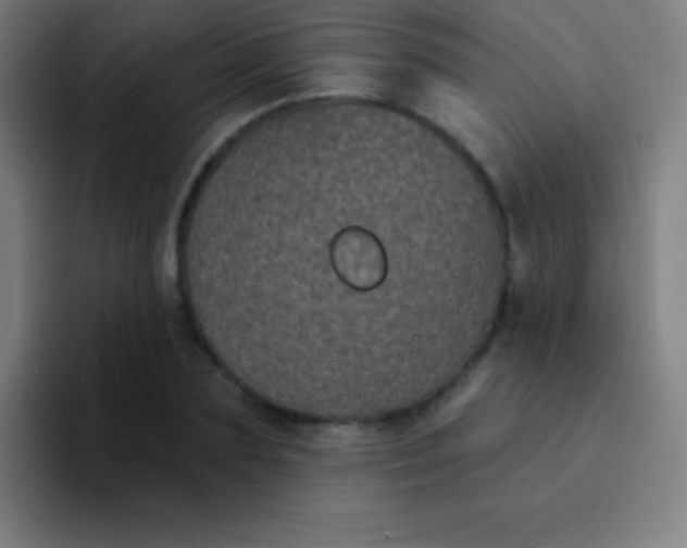 X0000094350883200711162028