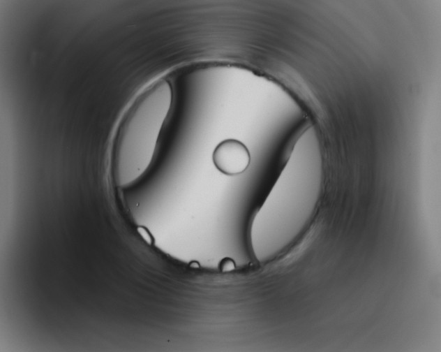 X0000094350884200711162028