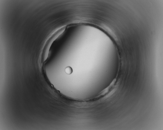 X0000094350885200711162028