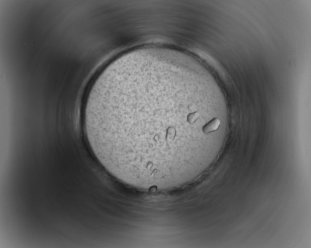 X0000094350886200711162028