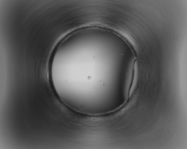 X0000094350888200711162027