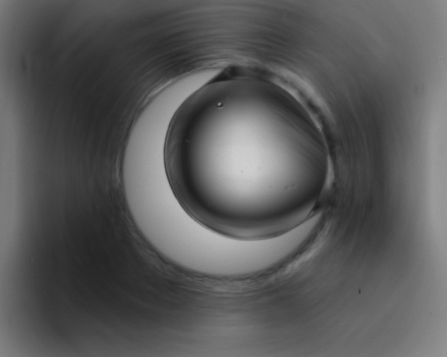 X0000094350889200711162027