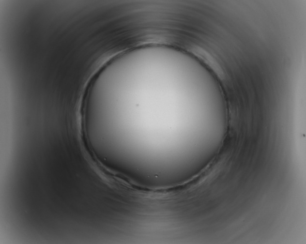 X0000094350890200711162027