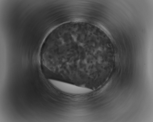 X0000094350891200711162027