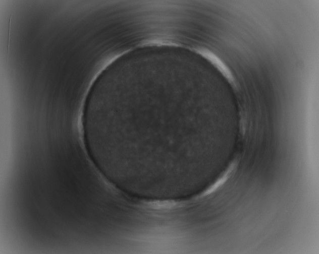 X0000094350893200711162027