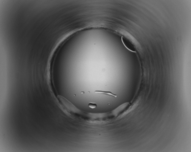 X0000094350894200711162027