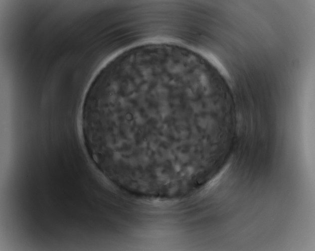 X0000094350895200711162027