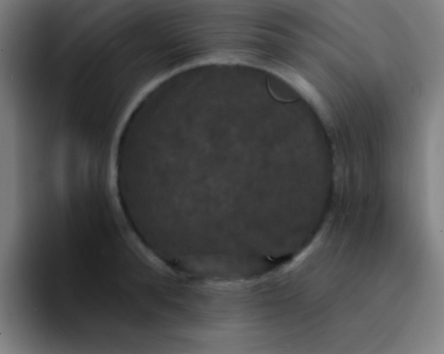 X0000094350896200711162027