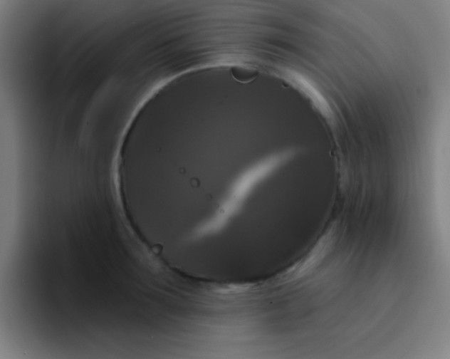 X0000094350899200711162027