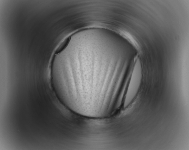 X0000094350900200711162027