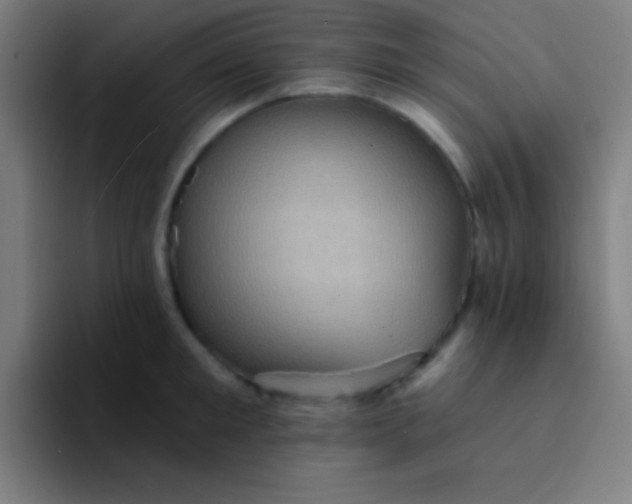 X0000094350901200711162027