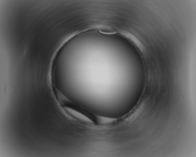 X0000094350902200711162027