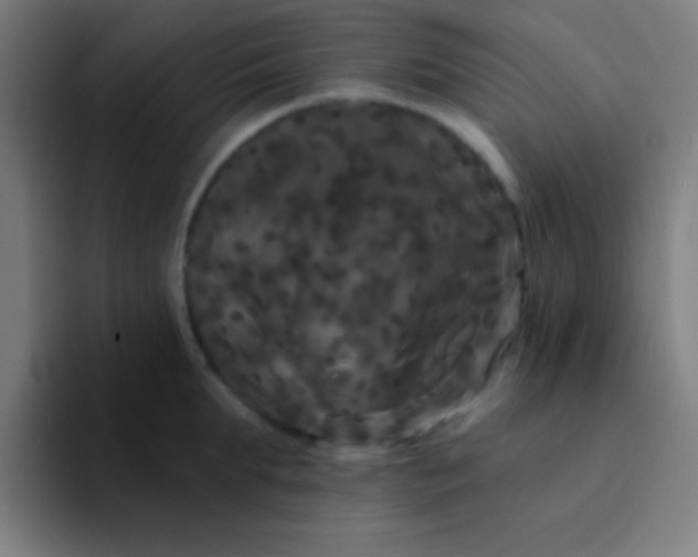 X0000094350903200711162027