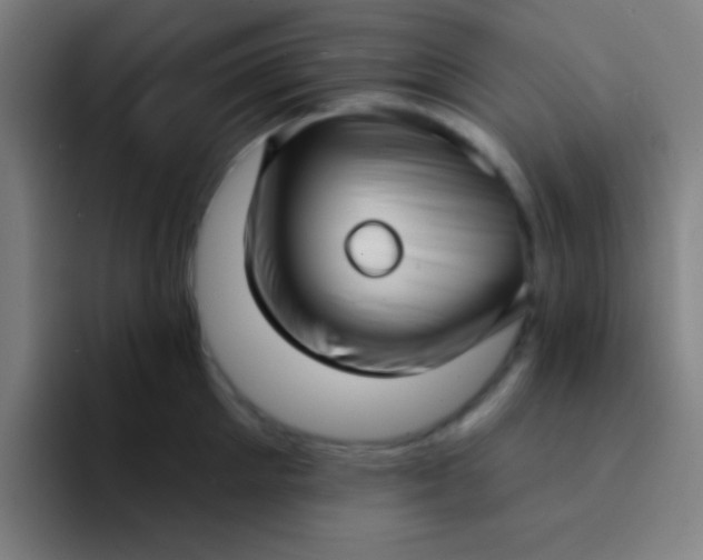 X0000094350905200711162027