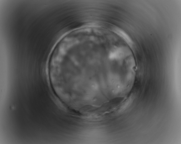 X0000094350907200711162027