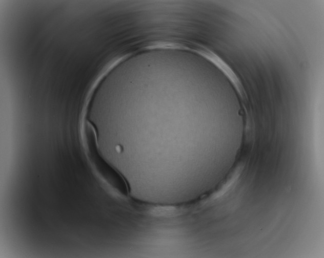 X0000094350909200711162027