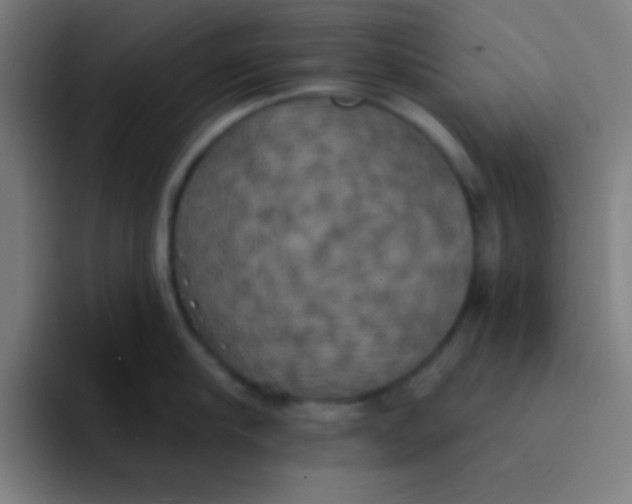 X0000094350910200711162027