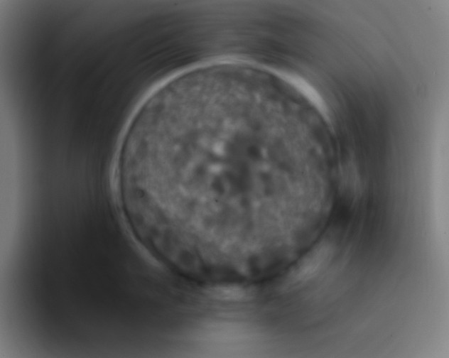 X0000094350911200711162027