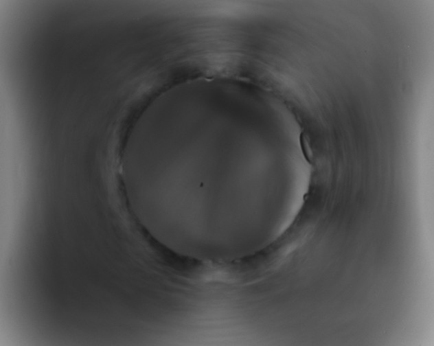 X0000094350913200711162027