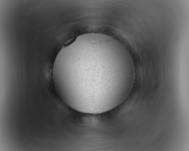 X0000094350914200711162027