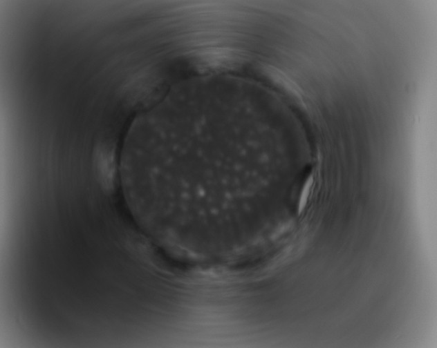 X0000094350915200711162027