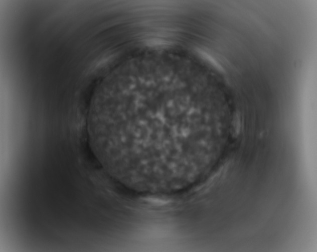 X0000094350917200711162027