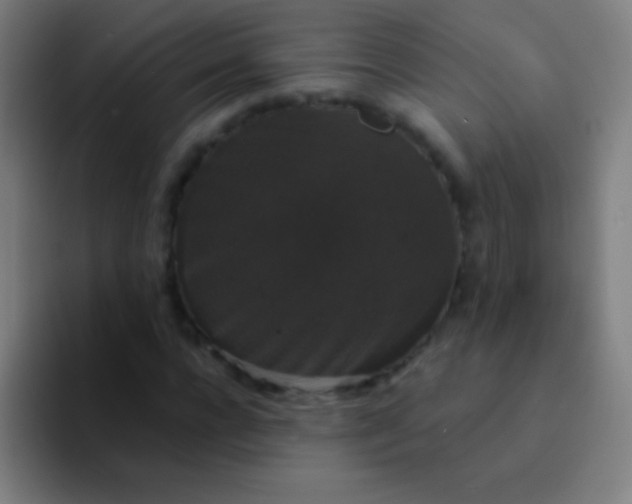 X0000094350920200711162027