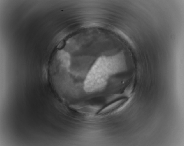 X0000094350921200711162027