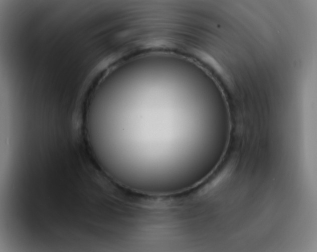 X0000094350922200711162027