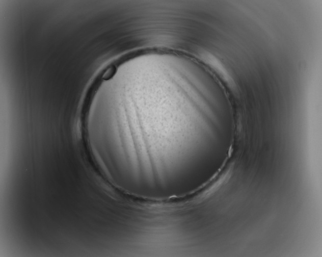 X0000094350924200711162027