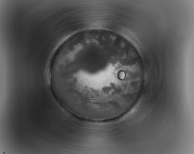 X0000094350925200711162027