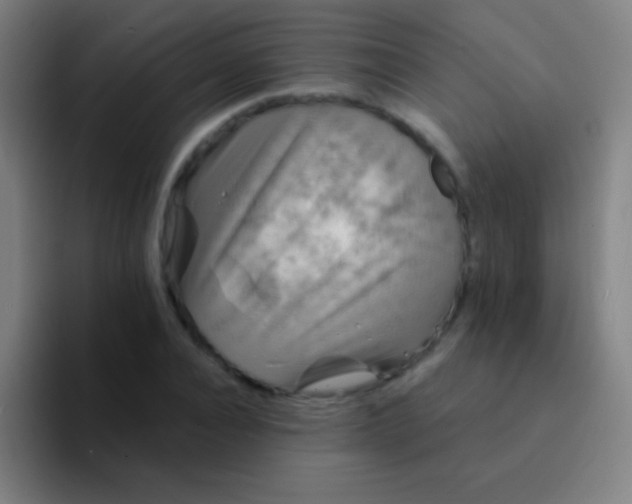 X0000094350928200711162027