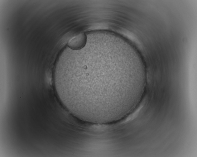 X0000094350929200711162027