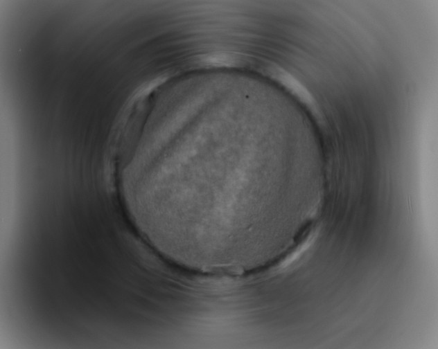 X0000094350930200711162027