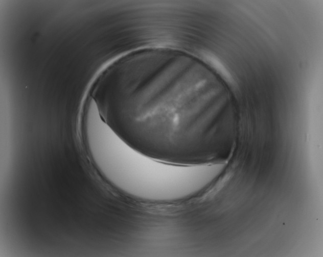 X0000094350932200711162027