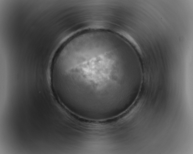 X0000094350935200711162027