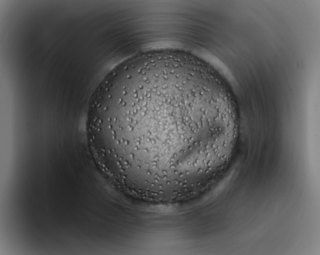 X0000094350937200711162027