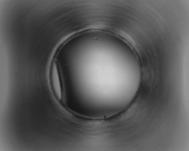 X0000094350939200711162027