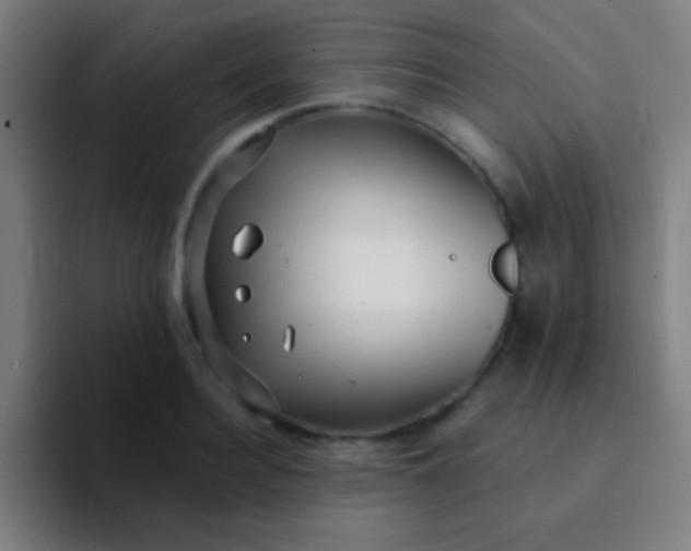 X0000094350940200711162027