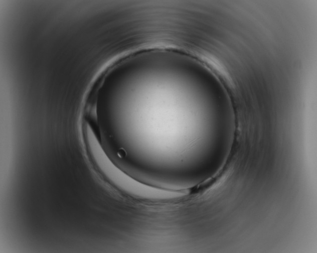 X0000094350942200711162027