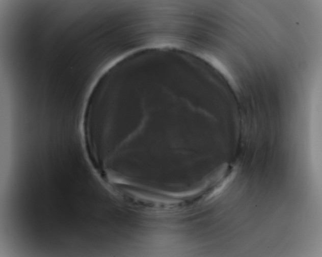 X0000094350943200711162027