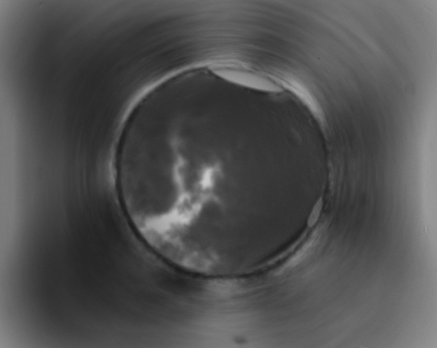 X0000094350944200711162027