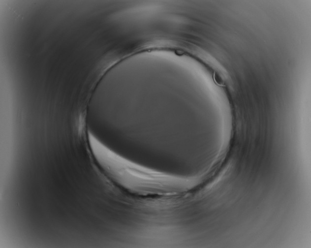 X0000094350945200711162027